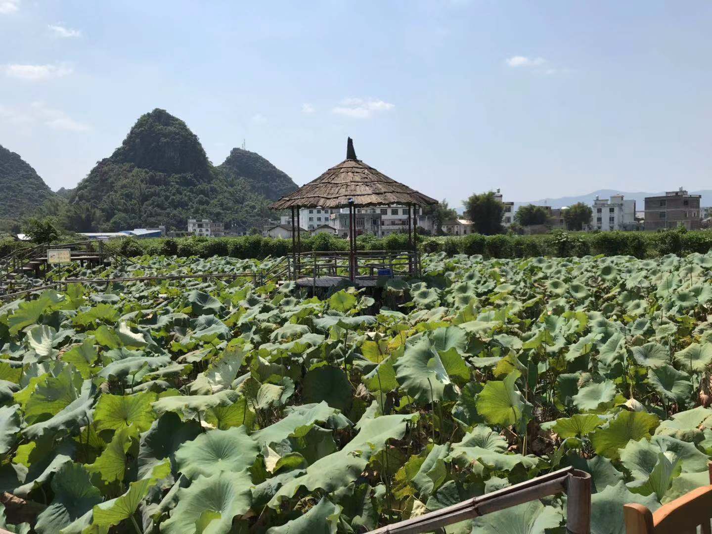 微信圖片_20190924144218.jpg